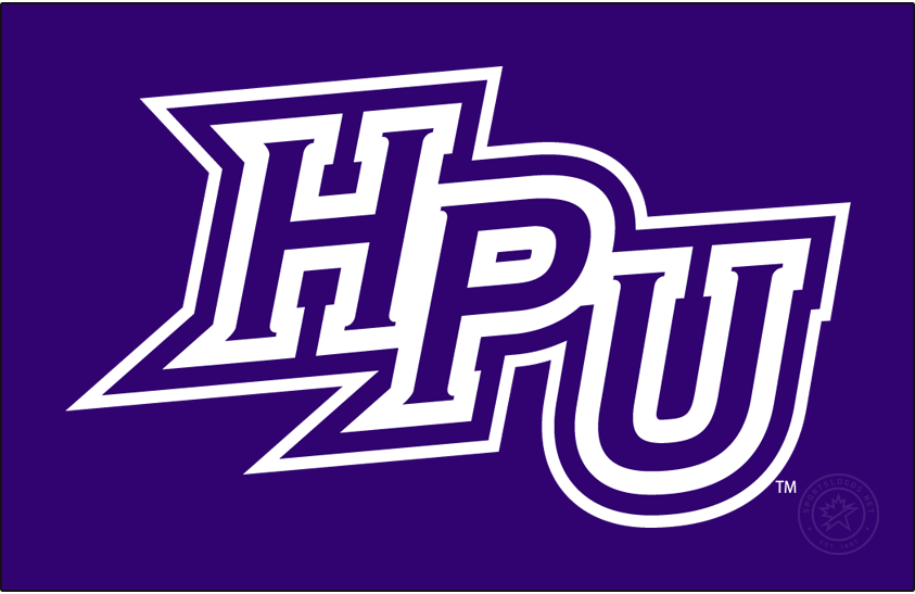 High Point Panthers 2012-Pres Primary Dark Logo DIY iron on transfer (heat transfer)